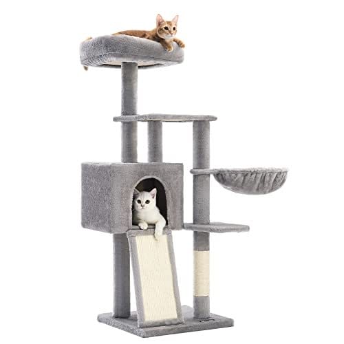 katte træ