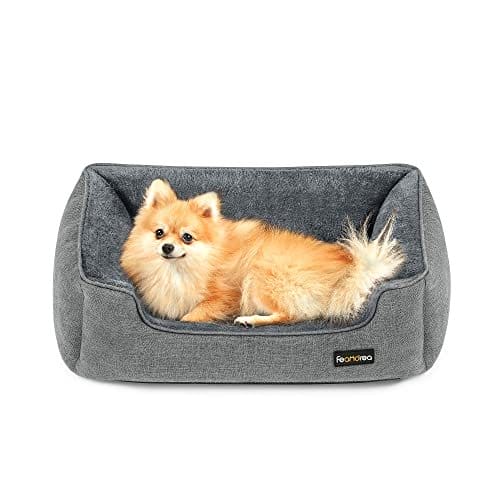 hundeseng