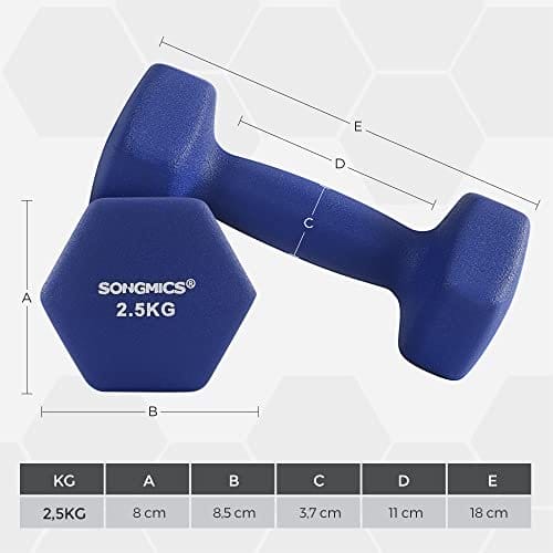 Songmics sæt med 2 håndvægte, 2 x 2,5 skridsikre neopren håndvægte med mat finish, hjemme træning, fitness træningsøvelse, blå syl65bu 2 Songmics sæt med 2 håndvægte, 2 x 2,5 skridsikre neopren håndvægte med mat finish, hjemme træning, fitness træningsøvelse, blå syl65bu - Billede 2