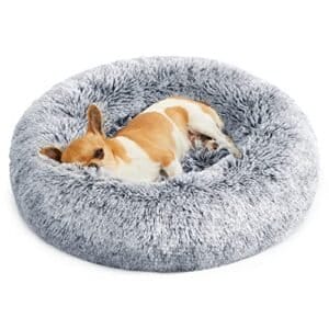 Hundeseng 50cm