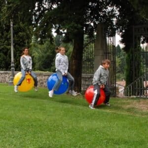 Hoppebold Original Tonkey Globetrotter Junior 42cm - Image 3