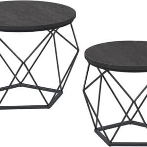 VASAGLE Round Coffee Tables, Set of 2 Side Tables, Modern Style, Removable Tabletop, Steel Frame, for Living Room, Charcoal Grey and Ink Black LCT041B22